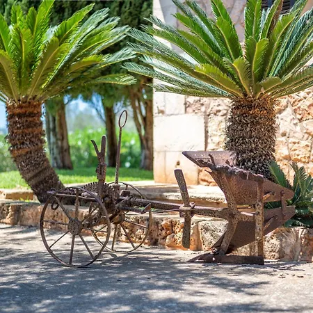 Son San Marti Gran * Can Picafort (Mallorca)